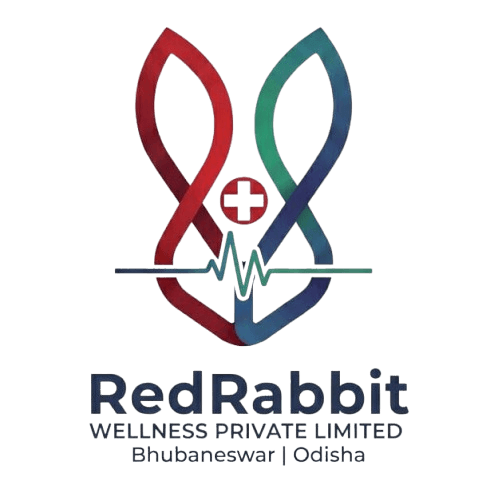 RedRabbit project preview